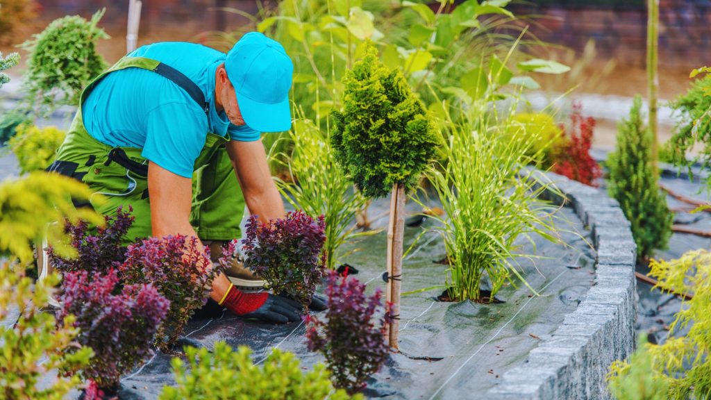 Jardiner├¡a